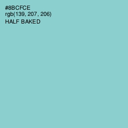 #8BCFCE - Half Baked Color Image